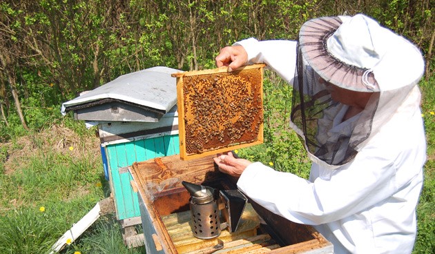 Woudenberg officieel Fairtrade Gemeente